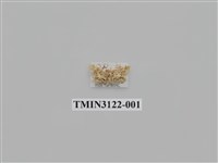 藏品(螟蛾227)的圖片